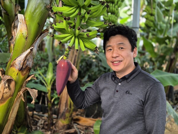 커피와 바나나, 더 느린 삶의 한 모퉁이에서 - 완도 더느림(주) 김원삼 대표 귀농 우수 사례